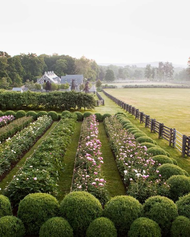 A beautiful summer garden featuring neatly arranged flower beds with pink blooms, surrounded by lush green hedges and a picturesque house in the background.